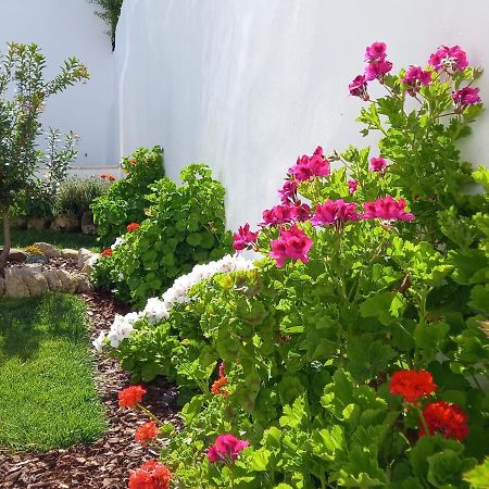 에보라 Pateo Dos Oliveira - Casa Da Cocheira 아파트 외부 사진