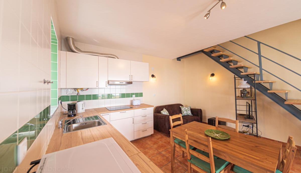 에보라 Pateo Dos Oliveira - Casa Da Cocheira 아파트 외부 사진