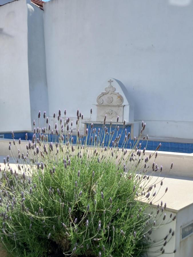 에보라 Pateo Dos Oliveira - Casa Da Cocheira 아파트 외부 사진